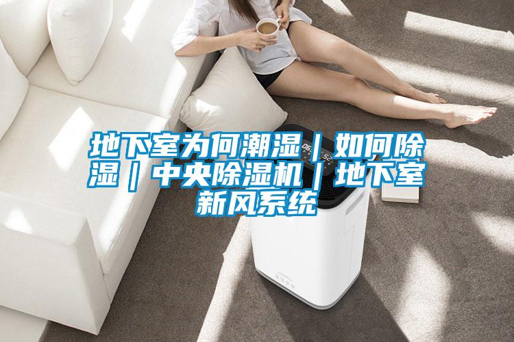 地下室為何潮濕|如何除濕|中央除濕機|地下室新風系統
