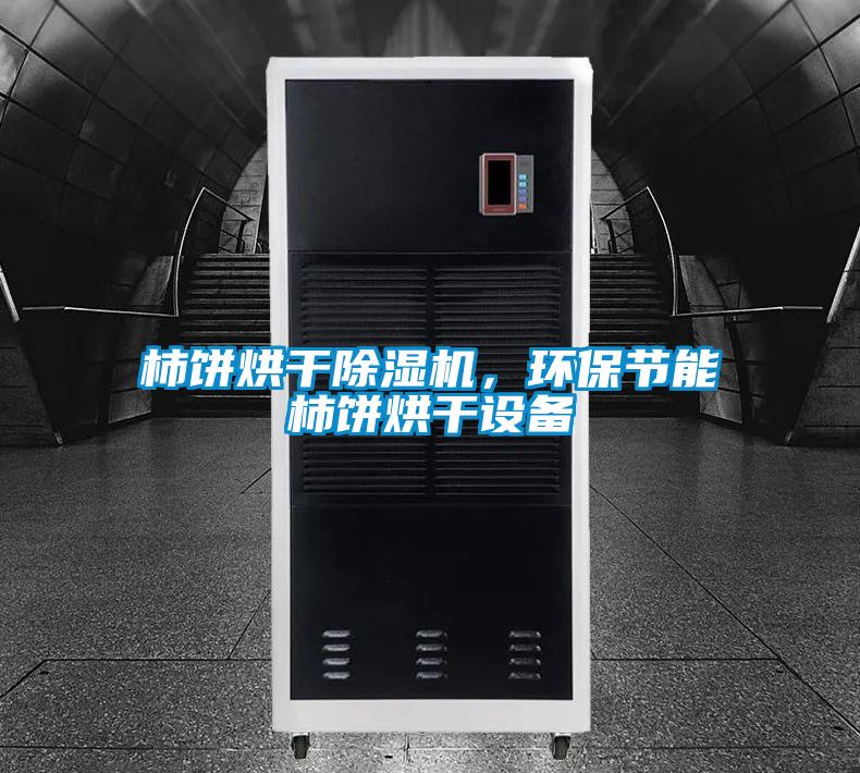 柿餅烘干除濕機，環保節能柿餅烘干設備