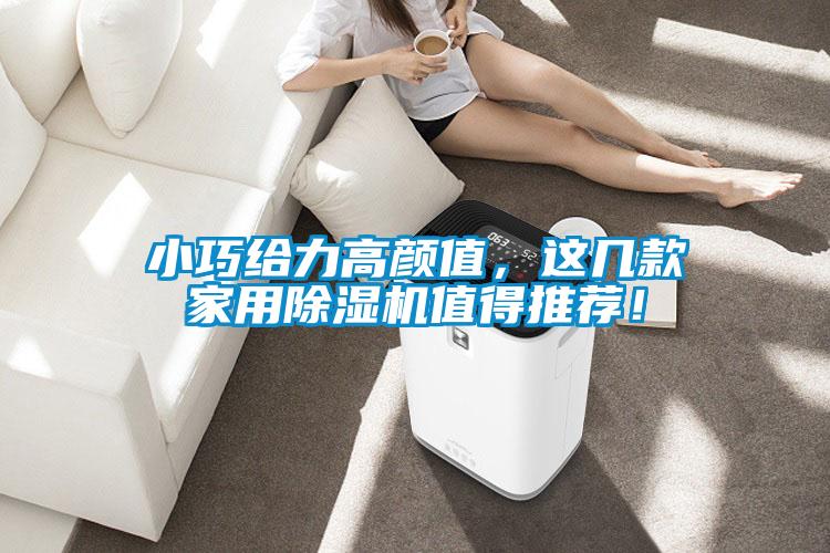 小巧給力高顏值，這幾款家用除濕機(jī)值得推薦！