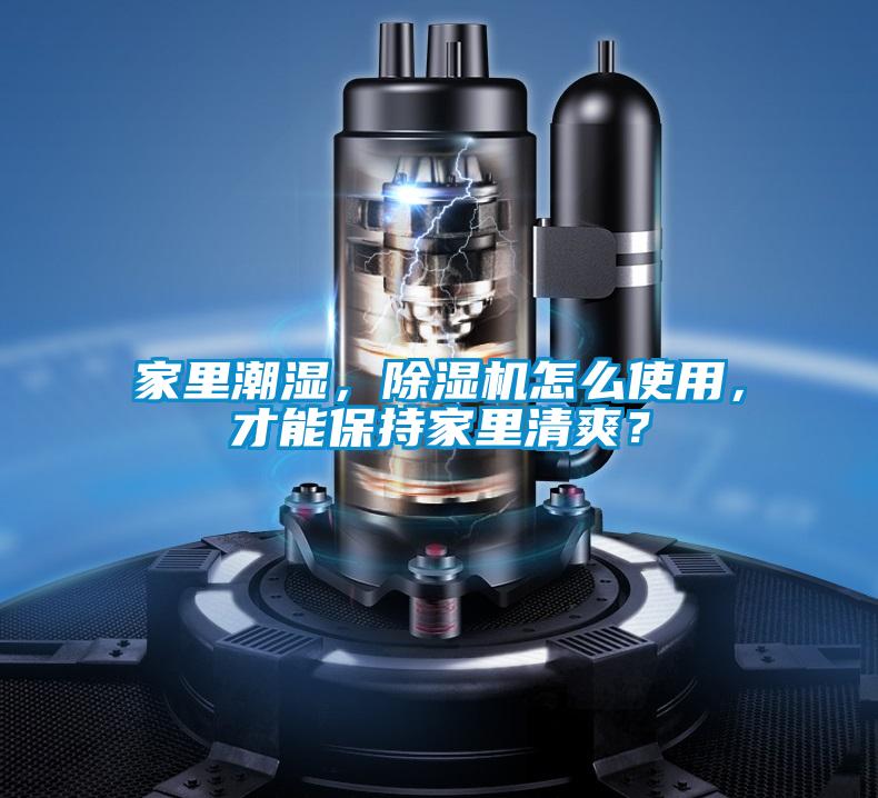 家里潮濕，除濕機(jī)怎么使用，才能保持家里清爽？