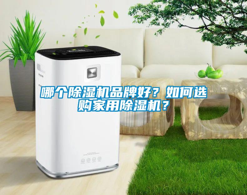 哪個除濕機品牌好?如何選購家用除濕機?