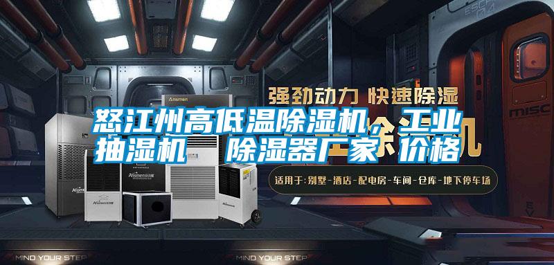 怒江州高低溫除濕機，工業抽濕機  除濕器廠家 價格