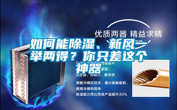 如何能除濕、新風(fēng)一舉兩得？你只差這個神器