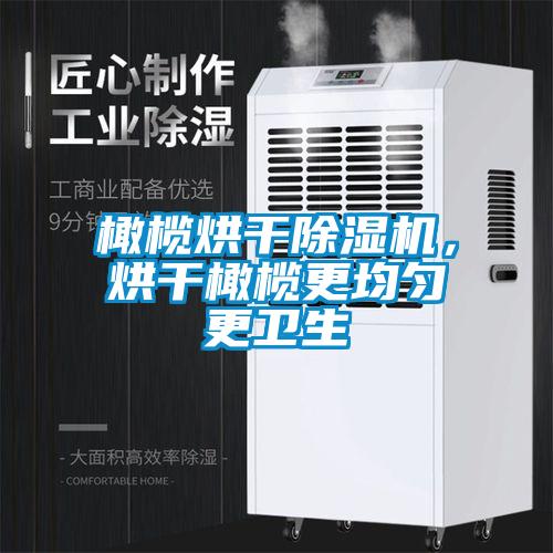 橄欖烘干除濕機,烘干橄欖更均勻更衛生