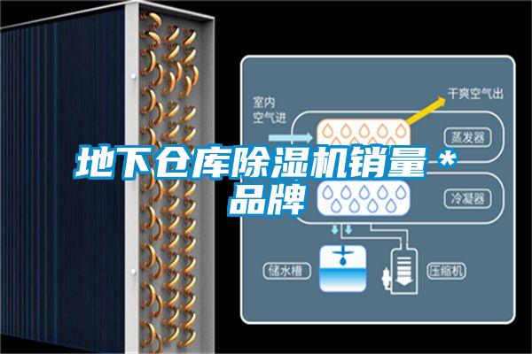 地下倉庫除濕機(jī)銷量*品牌