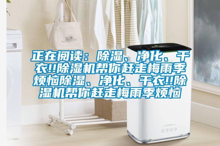正在閱讀:除濕、凈化、干衣!!除濕機幫你趕走梅雨季煩惱除濕、凈化、干衣!!除濕機幫你趕走梅雨季煩惱