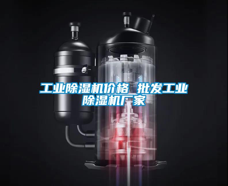 工業(yè)除濕機價格 批發(fā)工業(yè)除濕機廠家