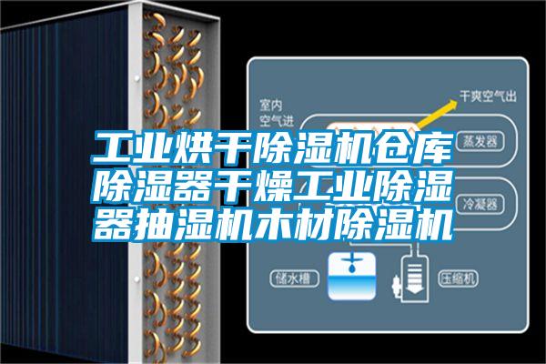 工業烘干除濕機倉庫除濕器干燥工業除濕器抽濕機木材除濕機