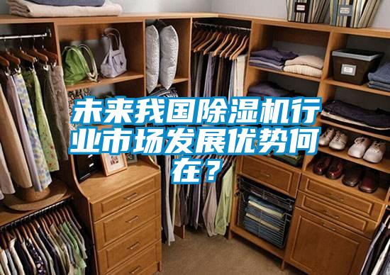 未來我國除濕機行業市場發展優勢何在?