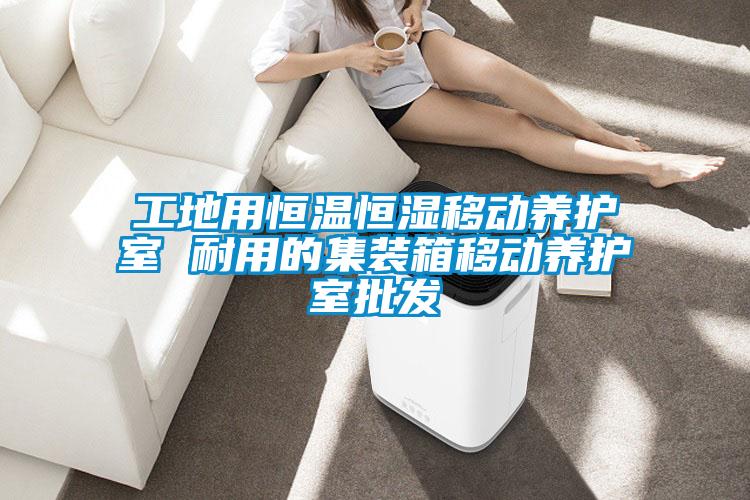 工地用恒溫恒濕移動養(yǎng)護室 耐用的集裝箱移動養(yǎng)護室批發(fā)
