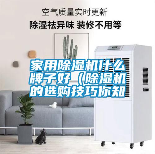 家用除濕機什么牌子好(除濕機的選購技巧你知