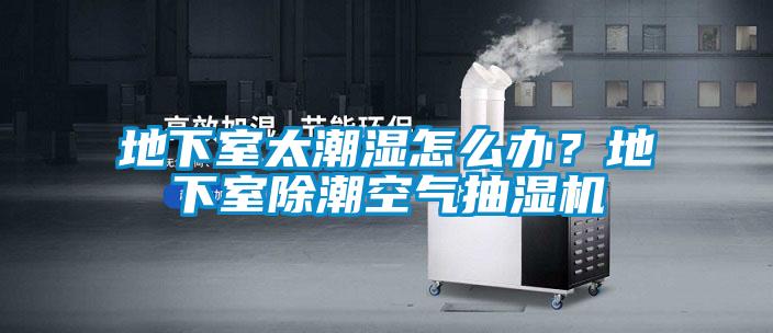 地下室太潮濕怎么辦？地下室除潮空氣抽濕機