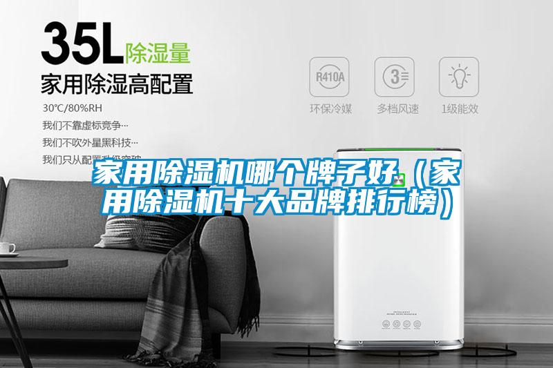 家用除濕機(jī)哪個(gè)牌子好(家用除濕機(jī)十大品牌排行榜)