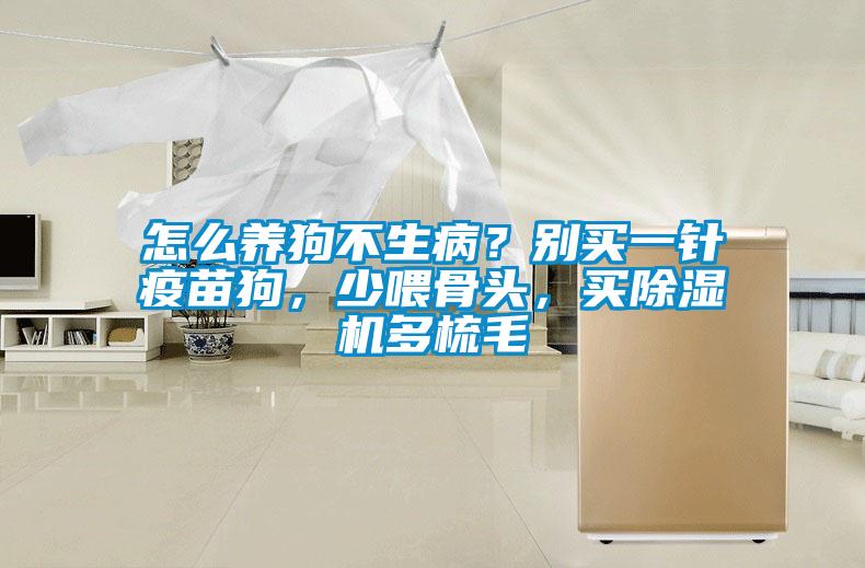 怎么養(yǎng)狗不生病？別買(mǎi)一針疫苗狗，少喂骨頭，買(mǎi)除濕機(jī)多梳毛