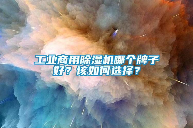 工業商用除濕機哪個牌子好？該如何選擇？