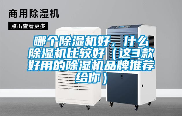 哪個(gè)除濕機(jī)好，什么除濕機(jī)比較好（這3款好用的除濕機(jī)品牌推薦給你）