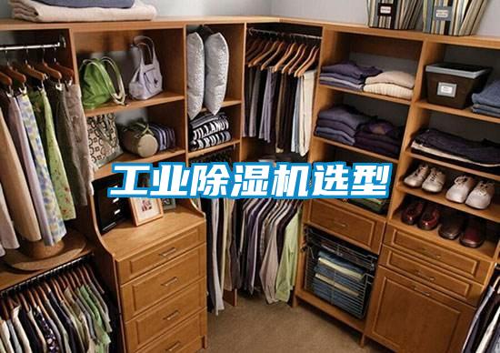 工業(yè)除濕機(jī)選型