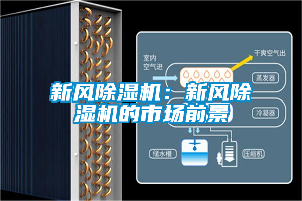 新風除濕機:新風除濕機的市場前景