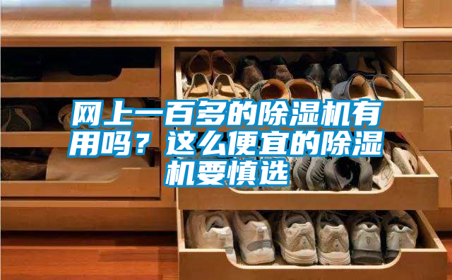 網(wǎng)上一百多的除濕機(jī)有用嗎?這么便宜的除濕機(jī)要慎選