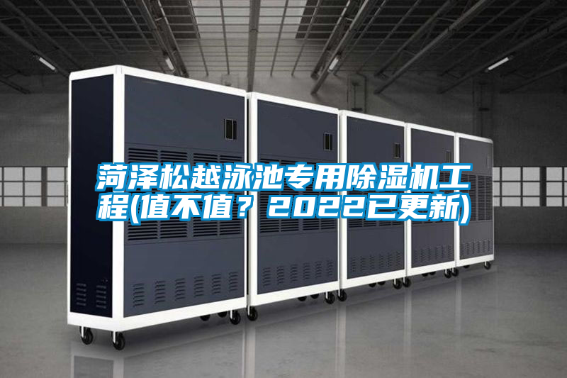 菏澤松越泳池專用除濕機(jī)工程(值不值?2022已更新)