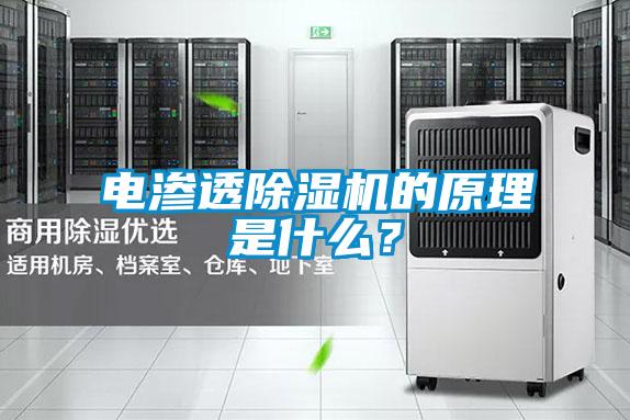 電滲透除濕機的原理是什么？