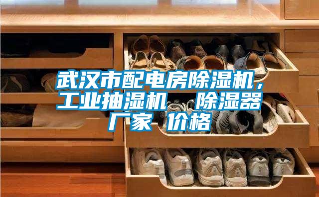 武漢市配電房除濕機，工業抽濕機  除濕器廠家 價格