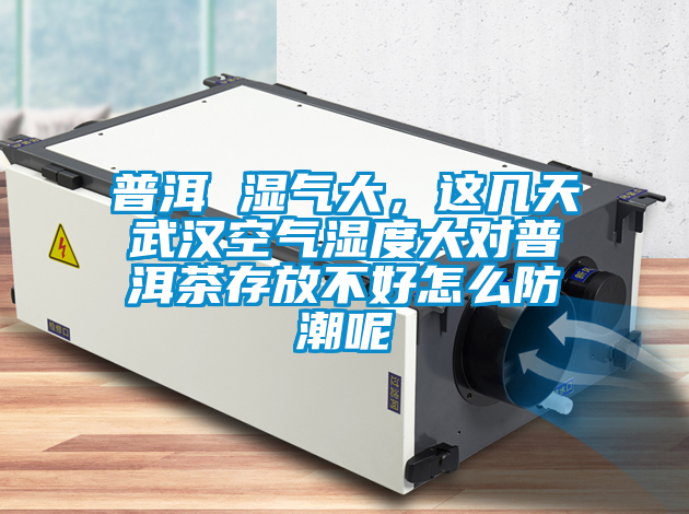 普洱 濕氣大,這幾天武漢空氣濕度大對(duì)普洱茶存放不好怎么防潮呢