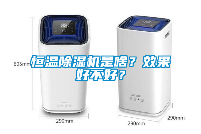 恒溫除濕機是啥？效果好不好？