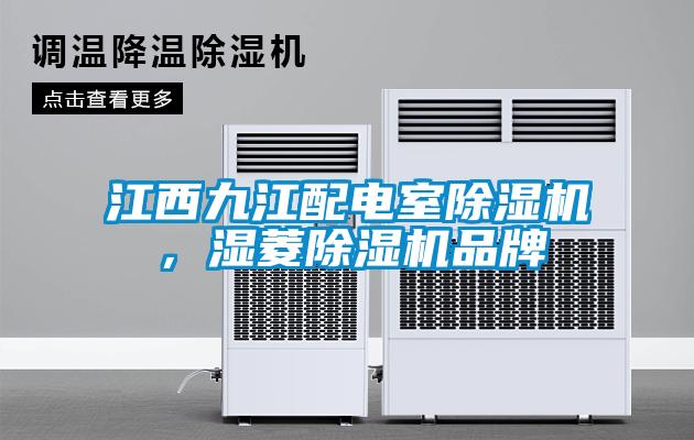 江西九江配電室除濕機,濕菱除濕機品牌