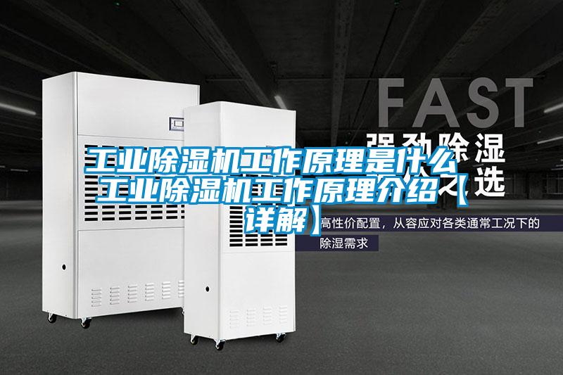 工業除濕機工作原理是什么 工業除濕機工作原理介紹【詳解】
