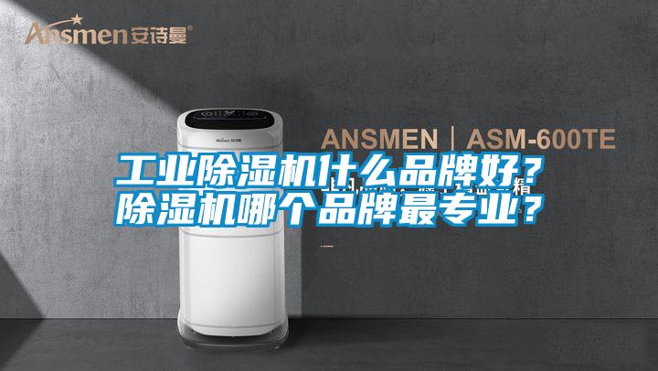 工業除濕機什么品牌好?除濕機哪個品牌最專業?