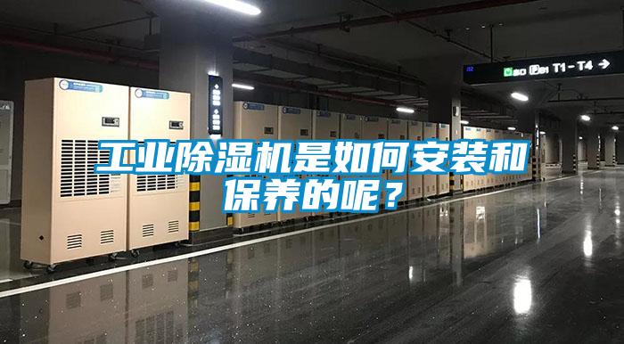 工業除濕機是如何安裝和保養的呢？