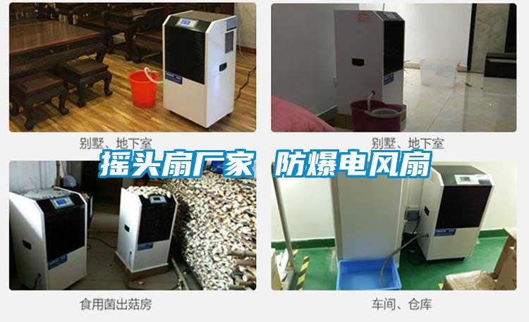 搖頭扇廠家 防爆電風扇