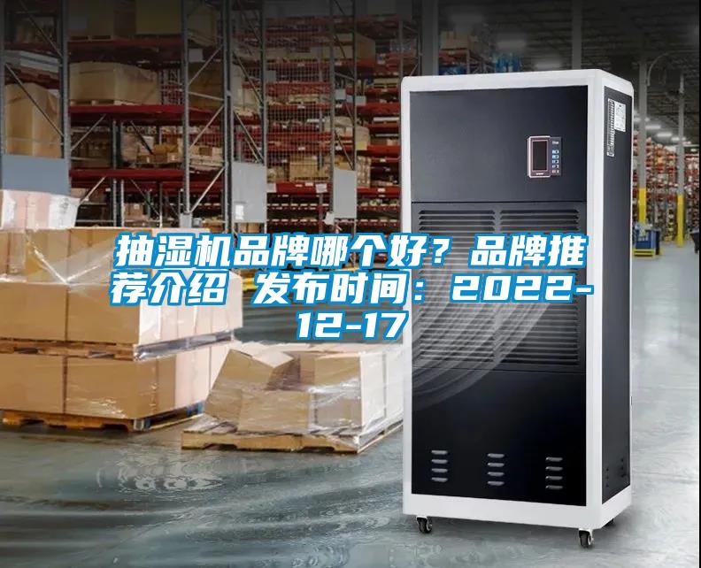 抽濕機品牌哪個好？品牌推薦介紹 發布時間：2022-12-17