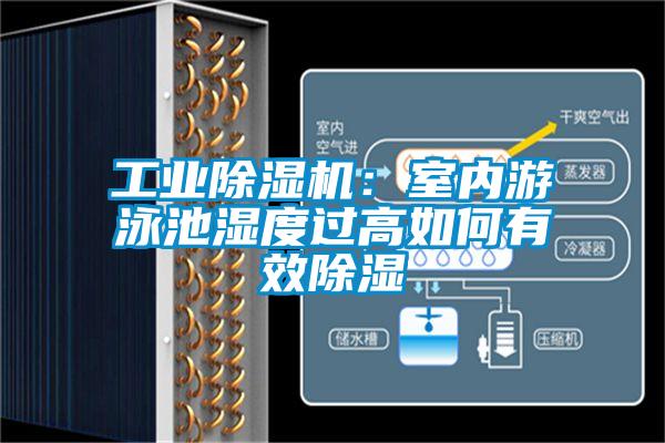 工業(yè)除濕機(jī):室內(nèi)游泳池濕度過(guò)高如何有效除濕