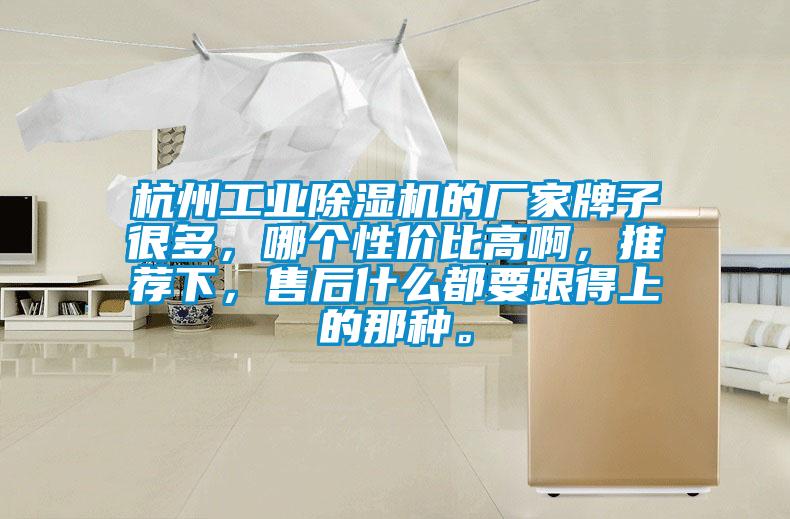 杭州工業(yè)除濕機的廠家牌子很多,哪個性價比高啊,推薦下,售后什么都要跟得上的那種。