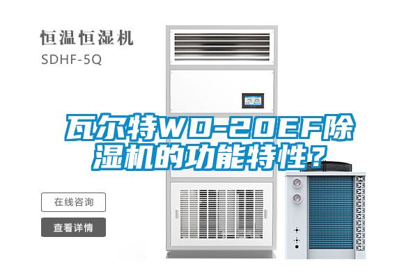 瓦爾特WD-20EF除濕機的功能特性？