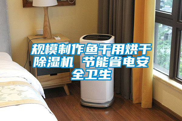 規(guī)模制作魚干用烘干除濕機 節(jié)能省電安全衛(wèi)生