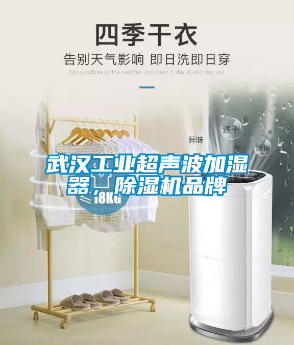 武漢工業超聲波加濕器,除濕機品牌