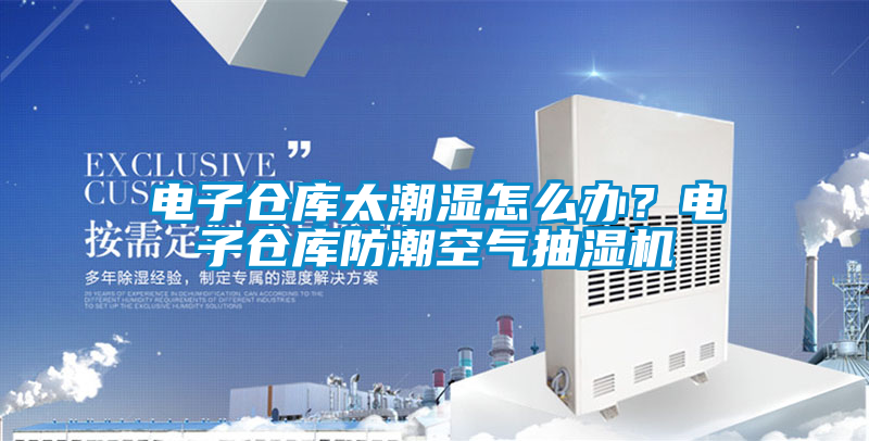 電子倉庫太潮濕怎么辦?電子倉庫防潮空氣抽濕機