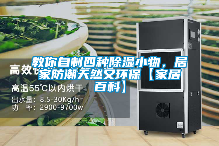 教你自制四種除濕小物,居家防潮天然又環保【家居百科】