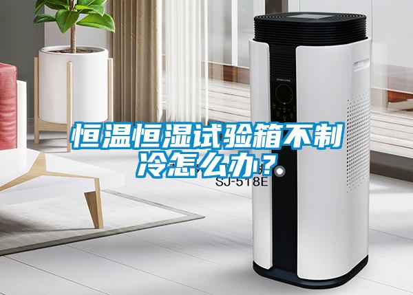 恒溫恒濕試驗(yàn)箱不制冷怎么辦?