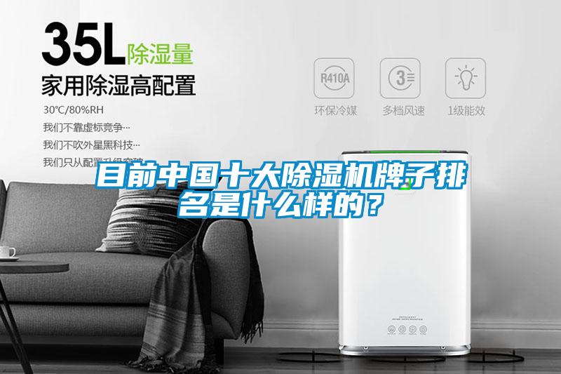 目前中國十大除濕機牌子排名是什么樣的？