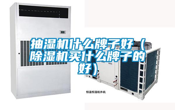 抽濕機什么牌子好(除濕機買什么牌子的好)