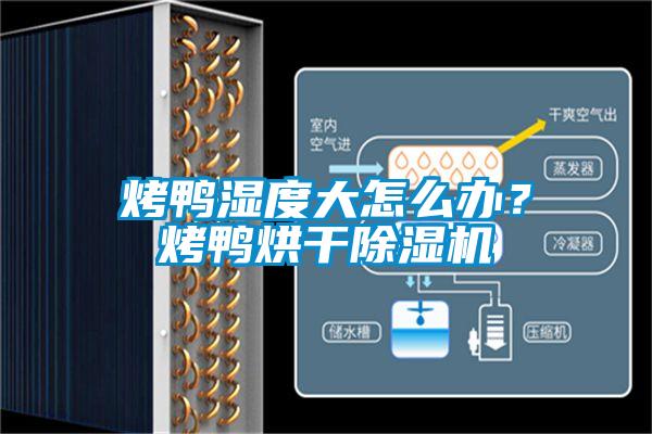 烤鴨濕度大怎么辦?烤鴨烘干除濕機