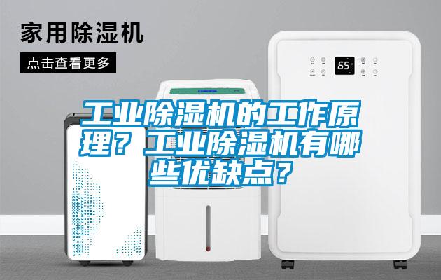 工業除濕機的工作原理?工業除濕機有哪些優缺點?