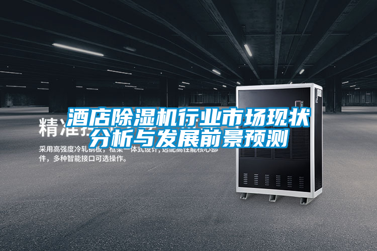 酒店除濕機行業市場現狀分析與發展前景預測