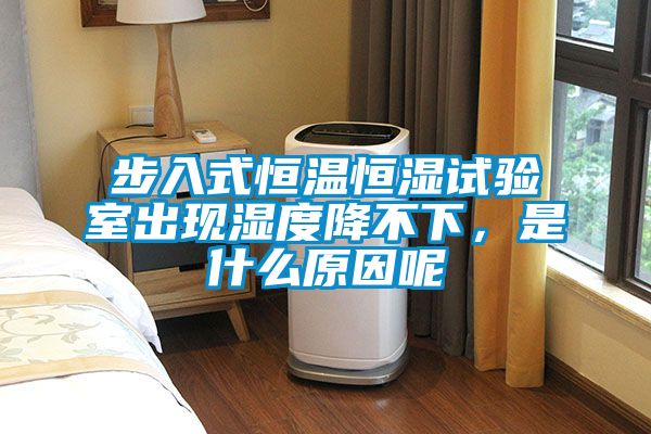 步入式恒溫恒濕試驗室出現濕度降不下,是什么原因呢