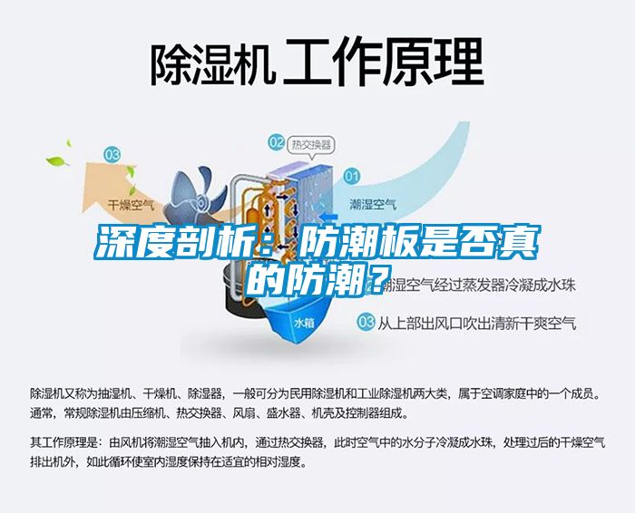 深度剖析:防潮板是否真的防潮?
