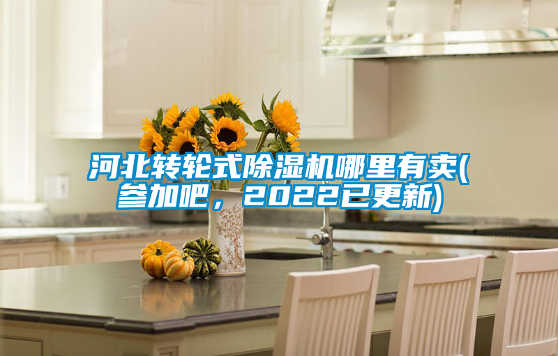 河北轉(zhuǎn)輪式除濕機(jī)哪里有賣(參加吧，2022已更新)
